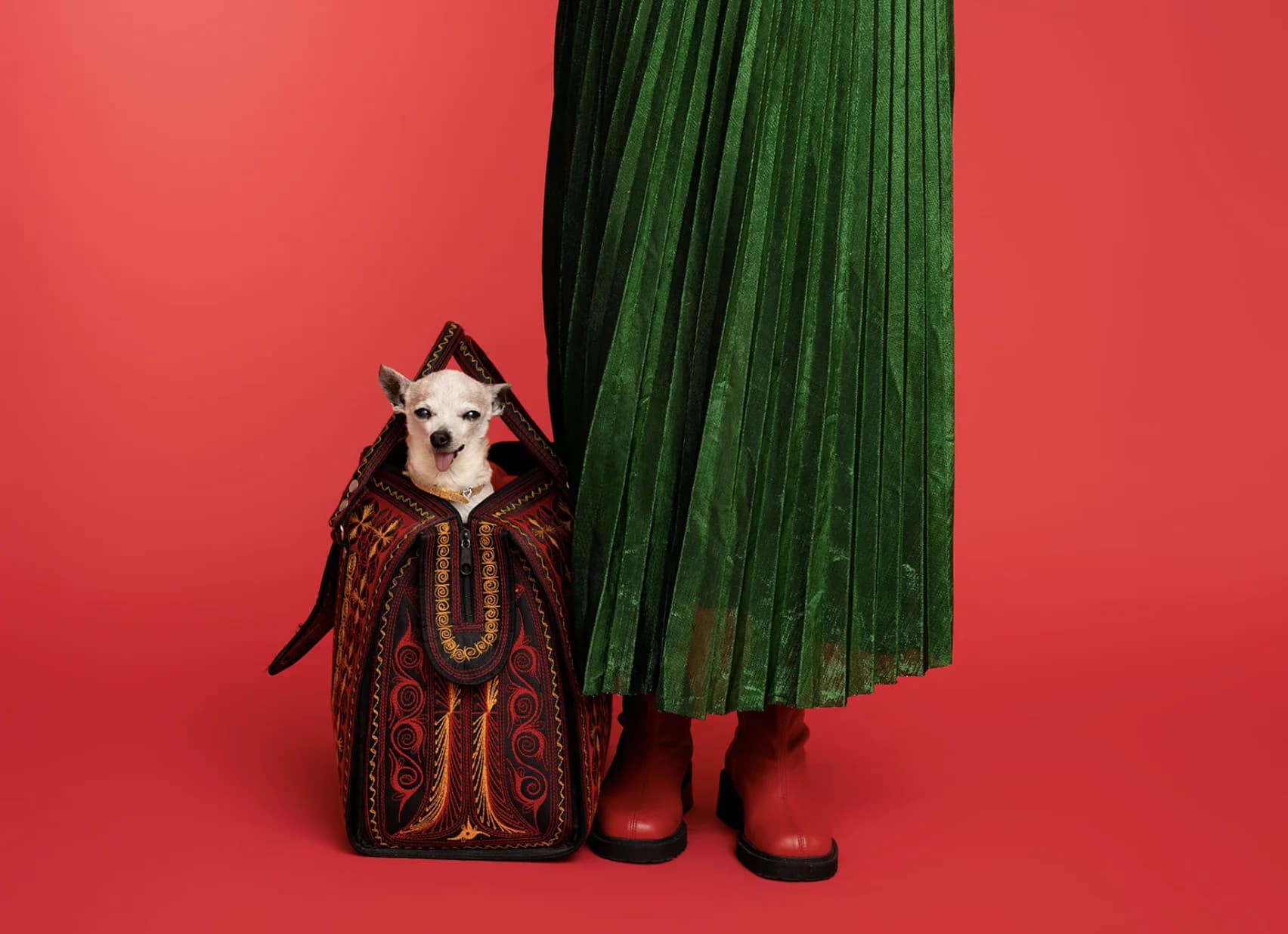 Small dog in a decorative costume beside a green skirt against a coral backdrop